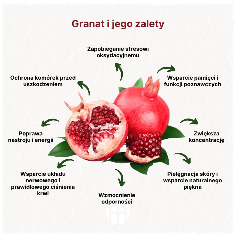 (Polština) Granátové jablko a jeho přínosy